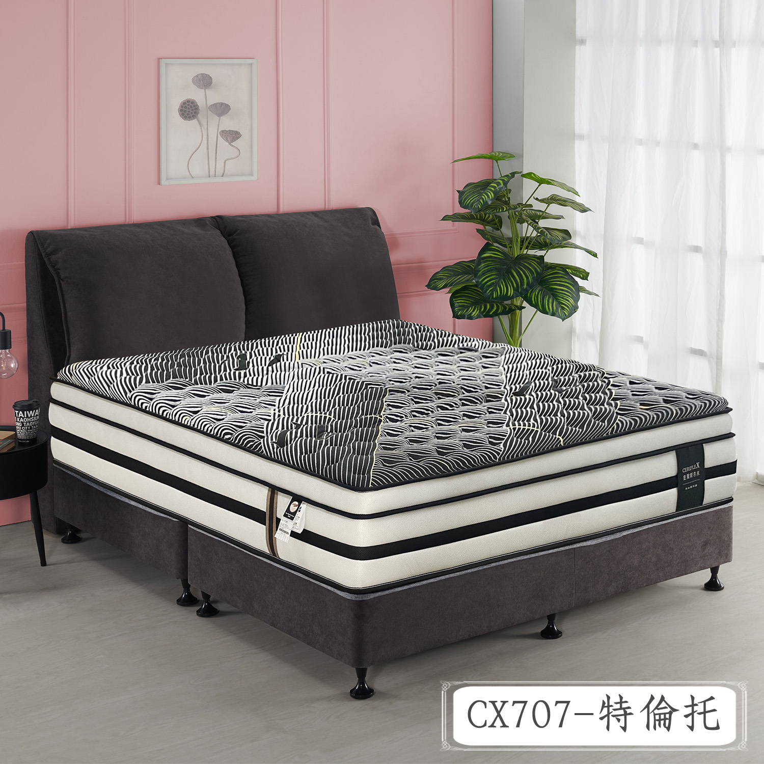 CX707-特倫托<br>軟○○●○○○○硬 CX707-特倫托<br>軟○○●○○○○硬